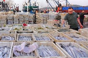 Seafood Supply at Jimiya Fishing Port in Qingdao