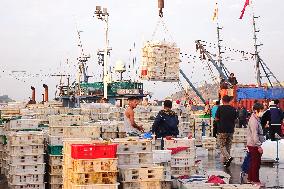 Seafood Supply at Jimiya Fishing Port in Qingdao