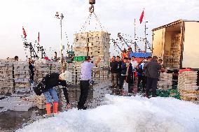 Seafood Supply at Jimiya Fishing Port in Qingdao