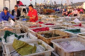 Seafood Supply at Jimiya Fishing Port in Qingdao