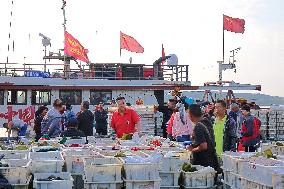 Seafood Supply at Jimiya Fishing Port in Qingdao