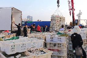 Seafood Supply at Jimiya Fishing Port in Qingdao