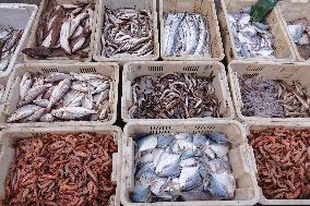 Seafood Supply at Jimiya Fishing Port in Qingdao