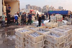 Seafood Supply at Jimiya Fishing Port in Qingdao