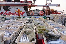 Seafood Supply at Jimiya Fishing Port in Qingdao