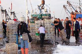 Seafood Supply at Jimiya Fishing Port in Qingdao