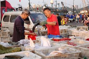 Seafood Supply at Jimiya Fishing Port in Qingdao