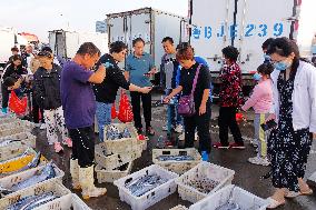 Seafood Supply at Jimiya Fishing Port in Qingdao