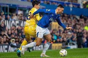 Everton FC v Crystal Palace FC - Premier League