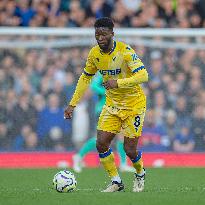 Everton FC v Crystal Palace FC - Premier League