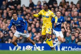 Everton FC v Crystal Palace FC - Premier League