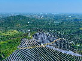 Barren Mountain PV Power Station in Wuhu