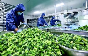 A Lyophilized Production Line For Fresh Fruits And Vegetables in Zhangye