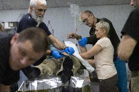 Injured Ukrainian Servicemen At Hospital - Donetsk Region