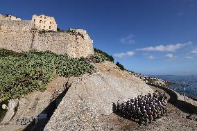 2nd Foreign Parachute Regiment Celebrates St Michel - Calvi