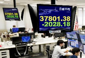 Tokyo stocks plunge