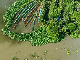 Traditional Floating Vegetables Garden In Bangladesh