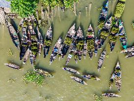 Floating Vegetable Market In Bangladesh