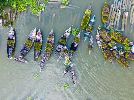 Floating Vegetable Market In Bangladesh