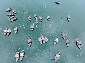 Passengers Boat In Bangladesh