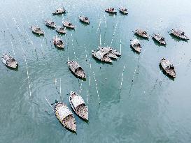 Passengers Boat In Bangladesh