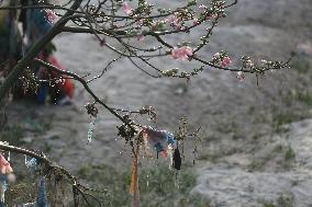 Aftermath Of Nepal Flood Leaves Trail Of Plastic Behind