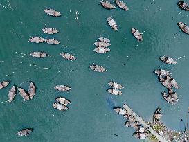 Passengers Boat In Bangladesh