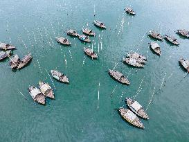 Passengers Boat In Bangladesh