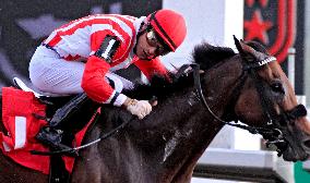 134th Running Of The Breeders' Stakes At Woodbine Racetrack, Toronto, Canada