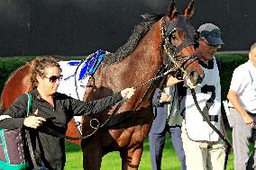 134th Running Of The Breeders' Stakes At Woodbine Racetrack, Toronto, Canada