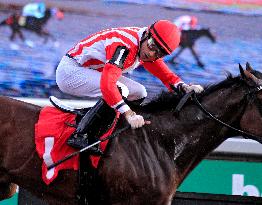 134th Running Of The Breeders' Stakes At Woodbine Racetrack, Toronto, Canada