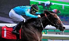 134th Running Of The Breeders' Stakes At Woodbine Racetrack, Toronto, Canada