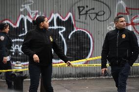 29-year-old Man Killed In A Shooting At East 182nd Street And Mapes Avenue In Bronx, New York