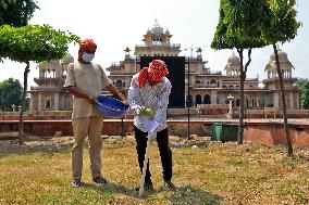 2 Days Campaign To Wipe Out Rodents  In Jaipur