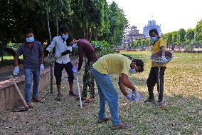 2 Days Campaign To Wipe Out Rodents  In Jaipur