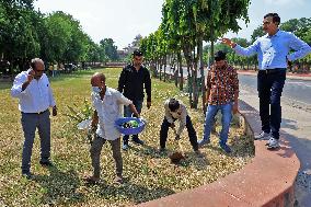 2 Days Campaign To Wipe Out Rodents  In Jaipur