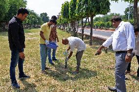 2 Days Campaign To Wipe Out Rodents  In Jaipur