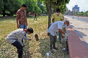 2 Days Campaign To Wipe Out Rodents  In Jaipur