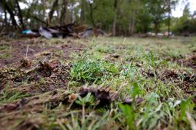 Hurricane Helene Damage In Virginia