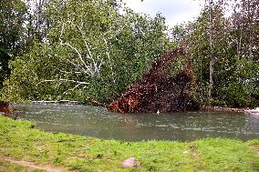 Hurricane Helene Damage In Virginia