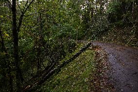 Hurricane Helene Damage In Virginia