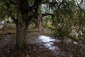 Hurricane Helene Damage In North Carolina