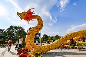 Corn Dragon