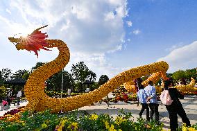 Corn Dragon