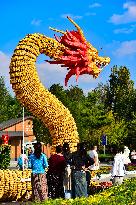 Corn Dragon