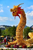 Corn Dragon