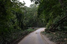 Hurricane Helene Damage In Asheville, North Carolina