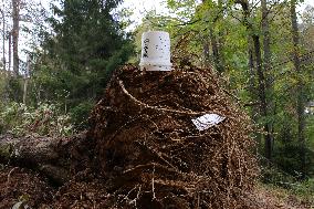 Hurricane Helene Damage In Asheville, North Carolina