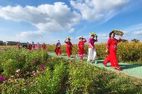 Tour in Lianyungang