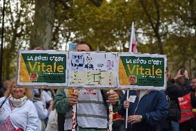 Inter-Union Demonstration - Bordeaux